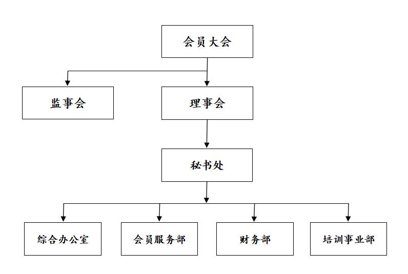 组织结构.jpg